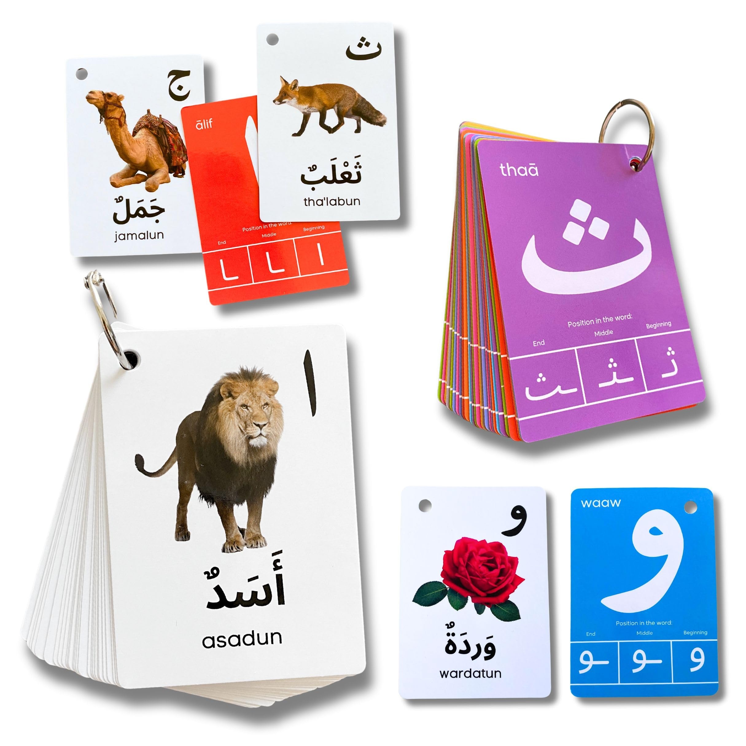 Amazon Arabic Alphabet Flash Cards For Kids Toddler And Adults Arabic First Words Letter Recognition Homeschool Learning Arabic Teacher Toys Games