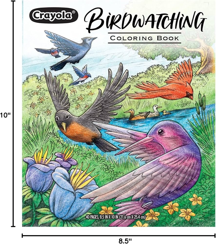 bird coloring book pages