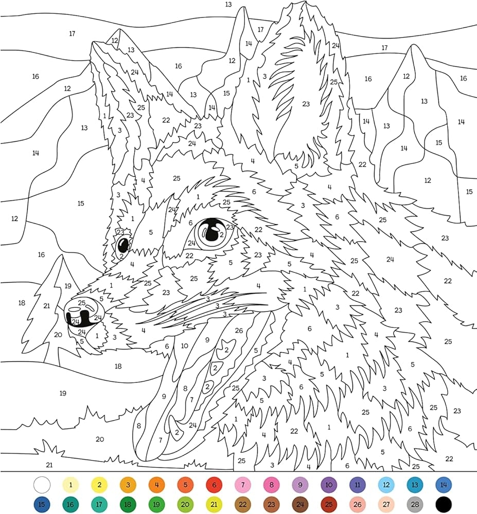 Animal Colour By Numbers Includes 45 Artworks To Colour Arcturus Creative Colour By Numbers Arcturus Publishing Limited 9781398814882 Amazon Books