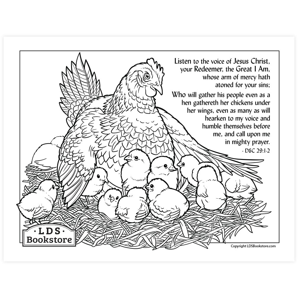 As A Hen Gathereth Her Chickens Coloring Page Printable Doctrine And Covenants Coloring Page As A Hen Gathereth Her Chickens Coloring Page Printable Doctrine And Covenants Coloring Page