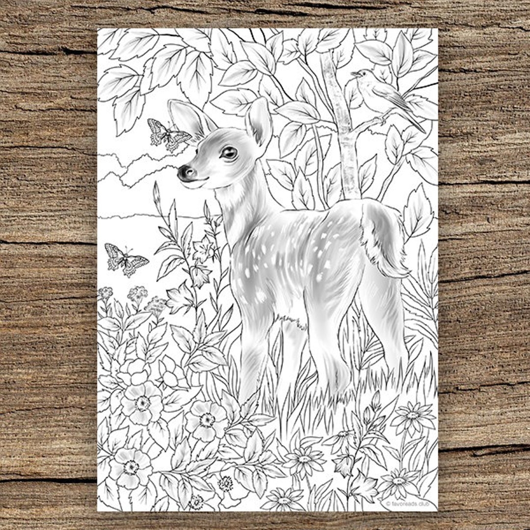 Baby Deer Printable Adult Coloring Page From Favoreads Coloring Book Pages For Adults And Kids Coloring Sheets Coloring Designs Etsy Baby Deer Printable Adult Coloring Page From Favoreads Coloring Book Pages For Adults And Kids Coloring Sheets Coloring Designs Etsy