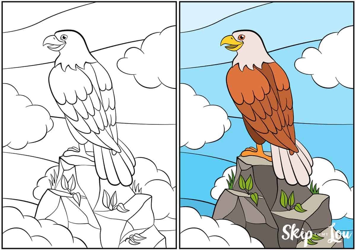 coloring picture of an eagle