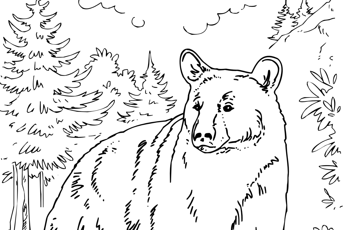 Black Bear Coloring Page
