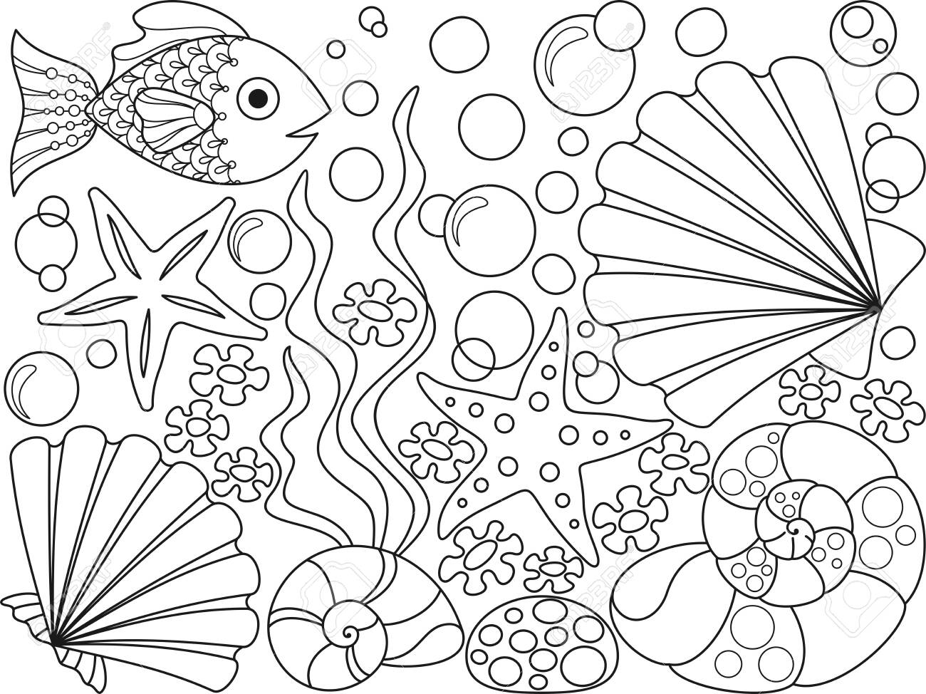 sea shells pictures to color
