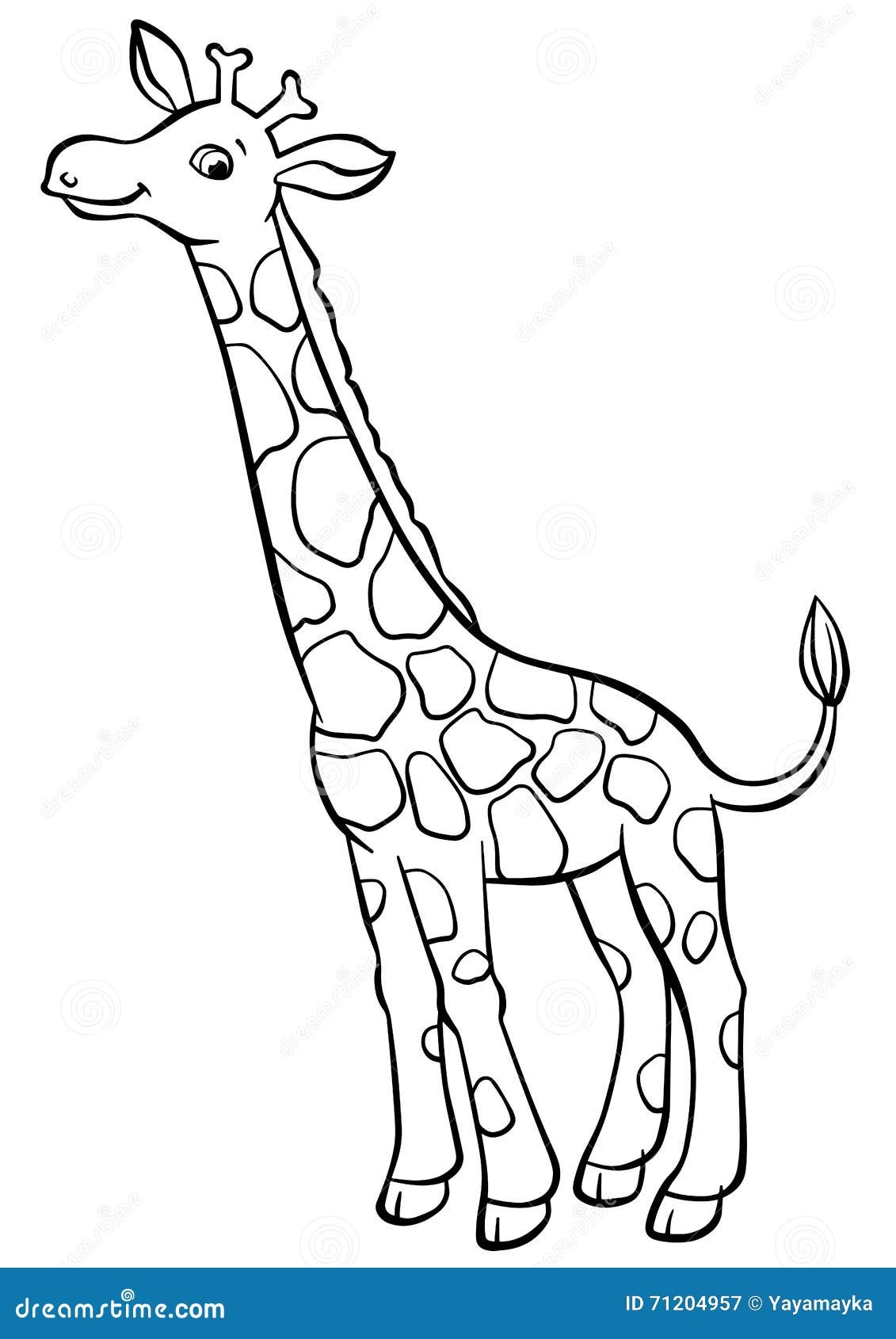 Coloring Pages Animals Little Cute Giraffe Stock Vector Illustration Of Cheerful Kindergarten 71204957 Coloring Pages Animals Little Cute Giraffe Stock Vector Illustration Of Cheerful Kindergarten 71204957