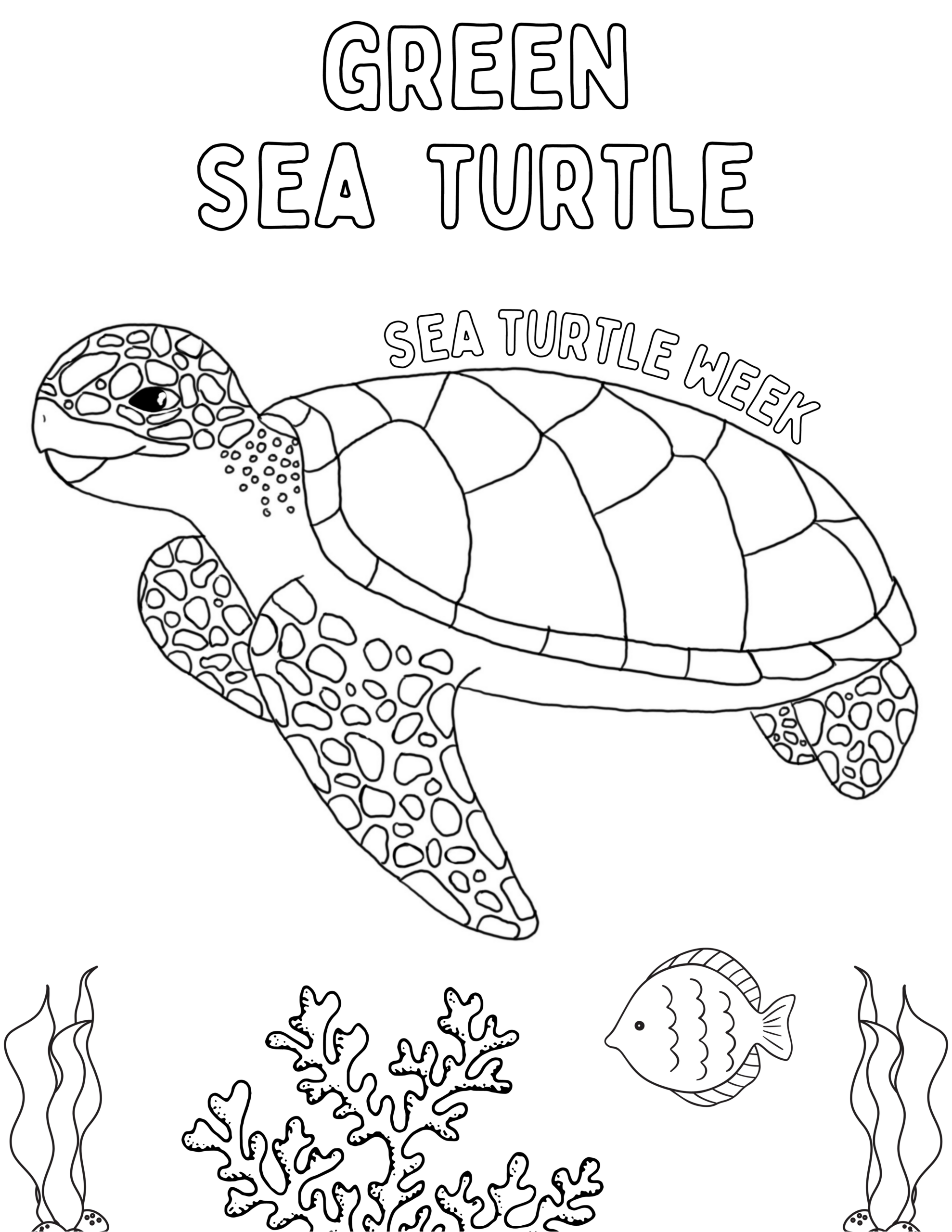 Coloring Sheets SeaTurtleWeek Coloring Sheets SeaTurtleWeek
