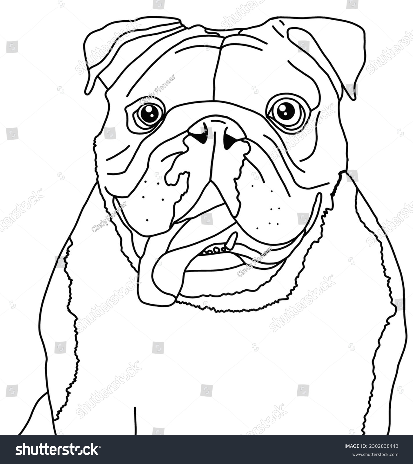 english bulldog coloring page english bulldog coloring page