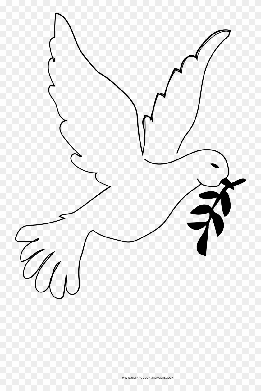Dove Coloring Pages Peace Page Ultra Buzzard HD Png Download 1000x1294 2569632 PngFind