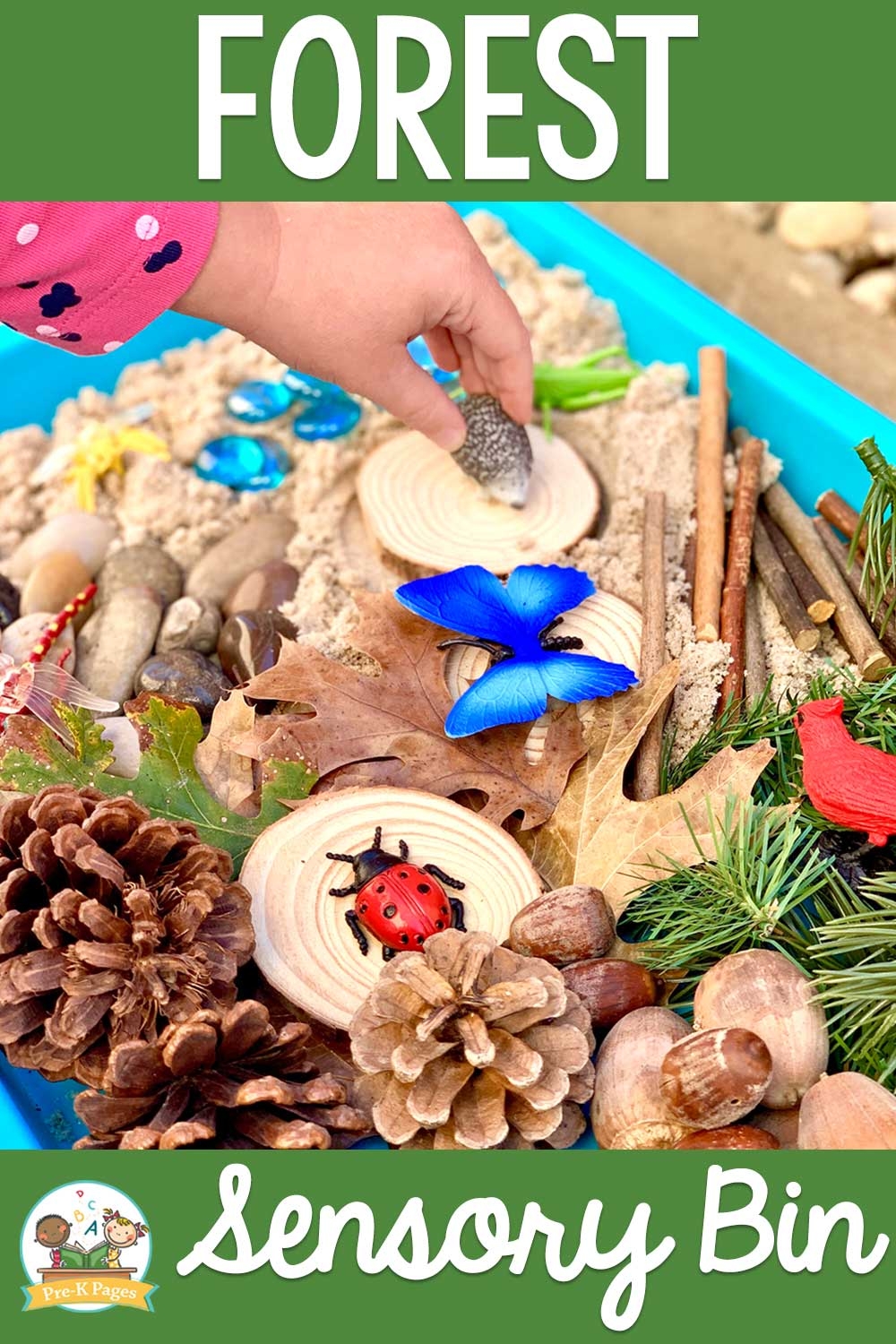 Forest Theme Sensory Bin For Preschool Pre K Pages