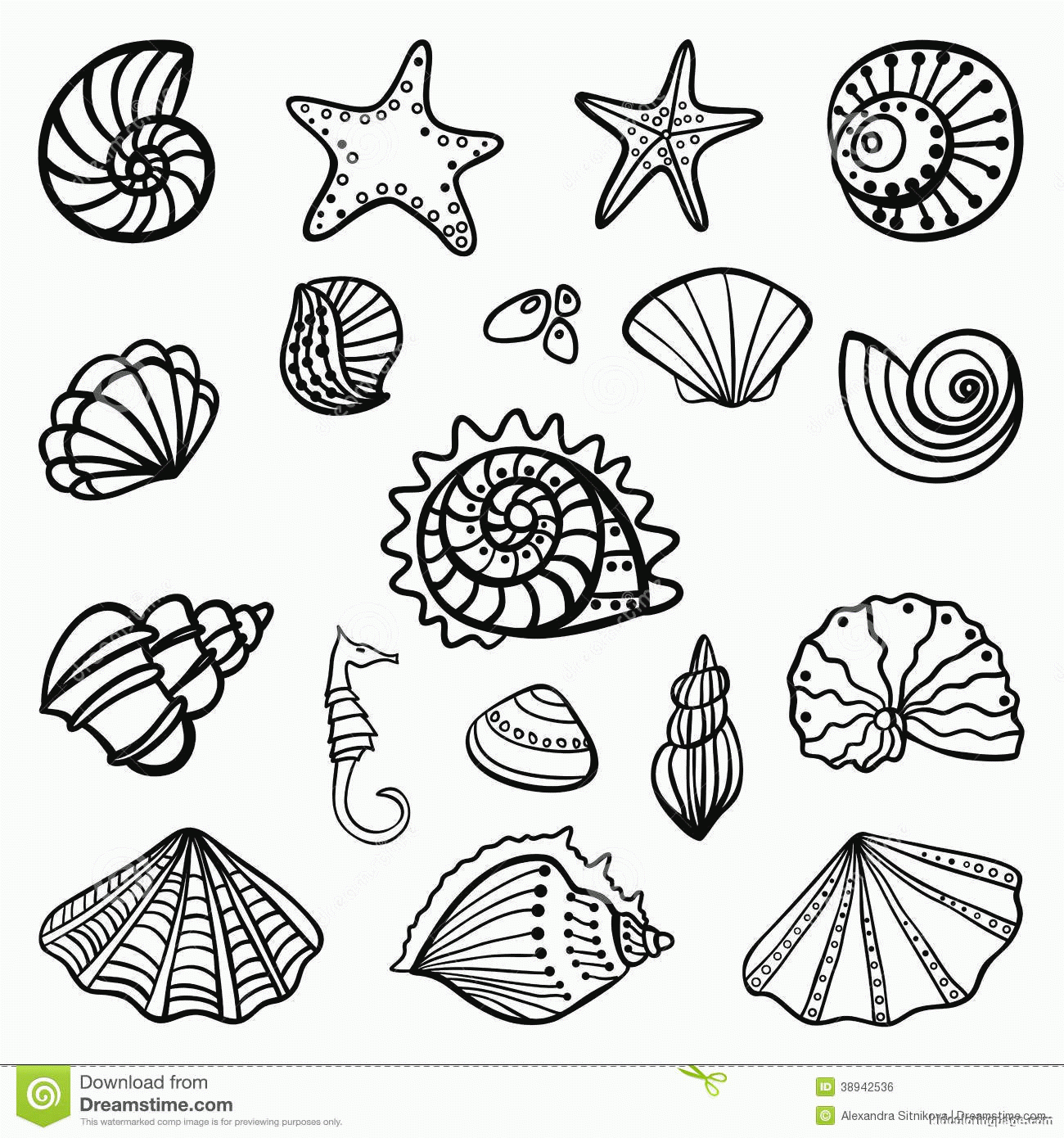Free Coloring Pages Of Seashells Download Free Coloring Pages Of Seashells Png Images Free ClipArts On Clipart Library