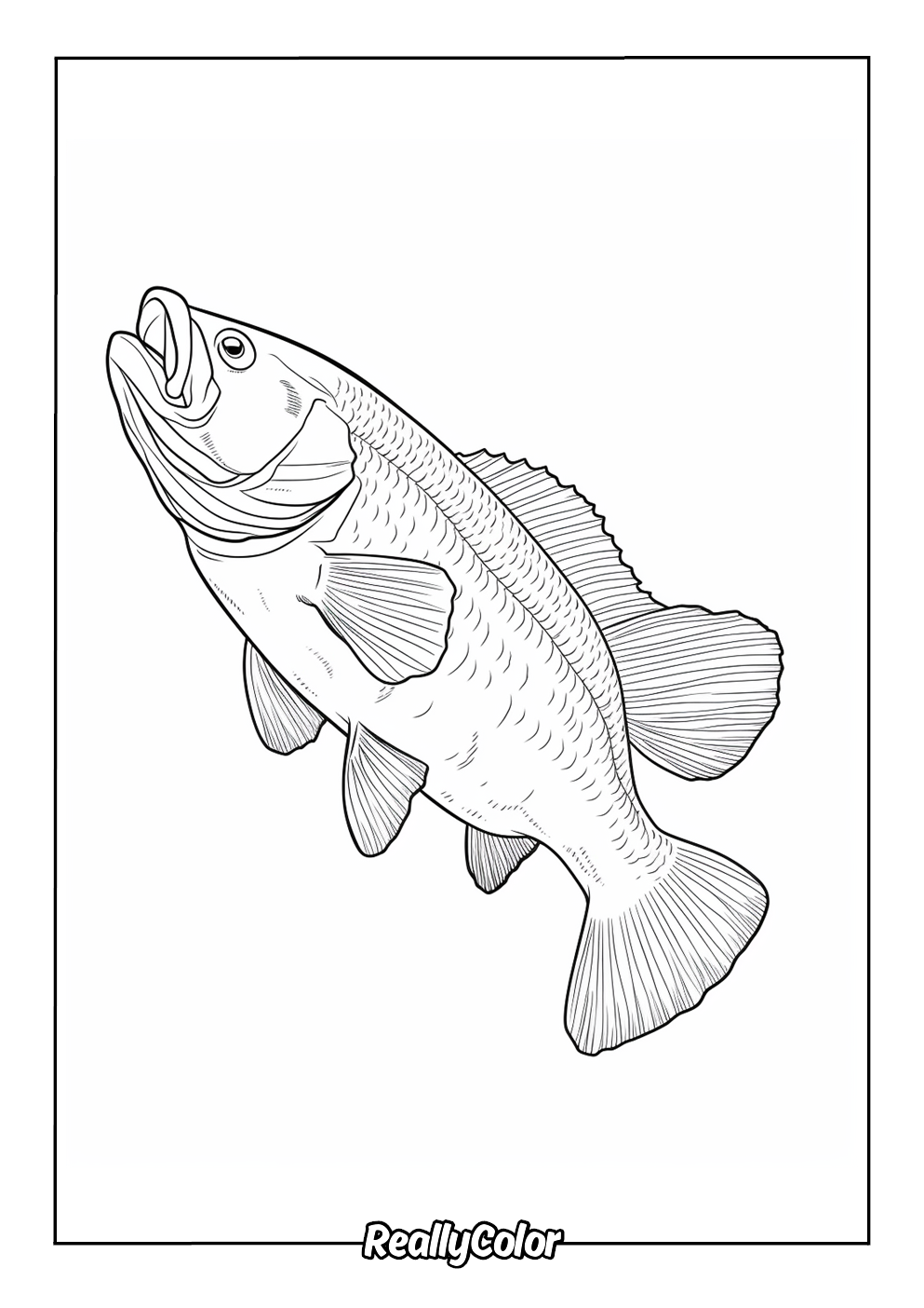 Free Printable Bass Fish Coloring Pages