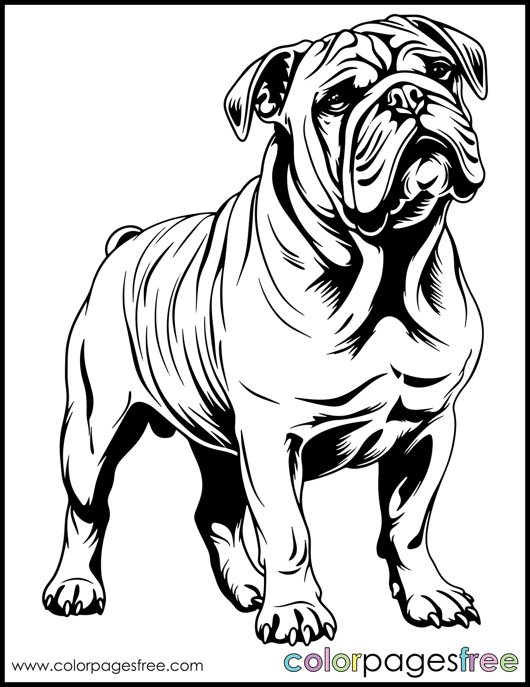 Free Printable Bulldog Coloring Page Colorpagesfree Free Printable Bulldog Coloring Page Colorpagesfree
