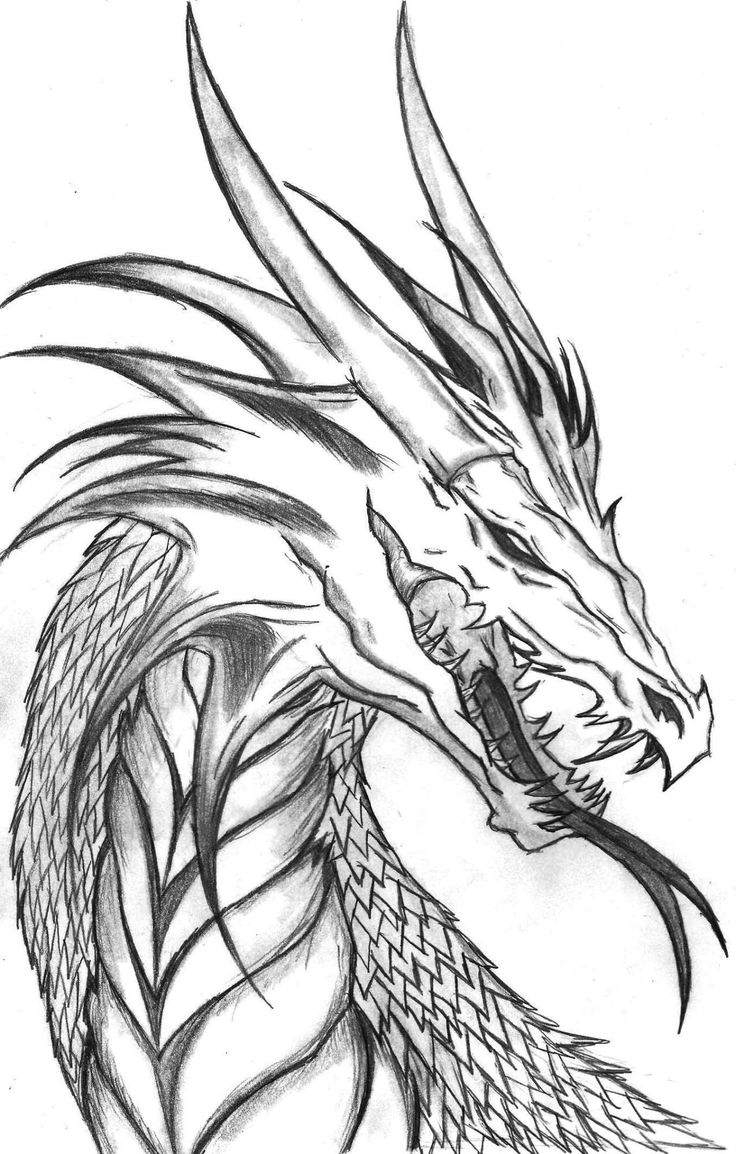 coloring pages of realistic dragons coloring pages of realistic dragons