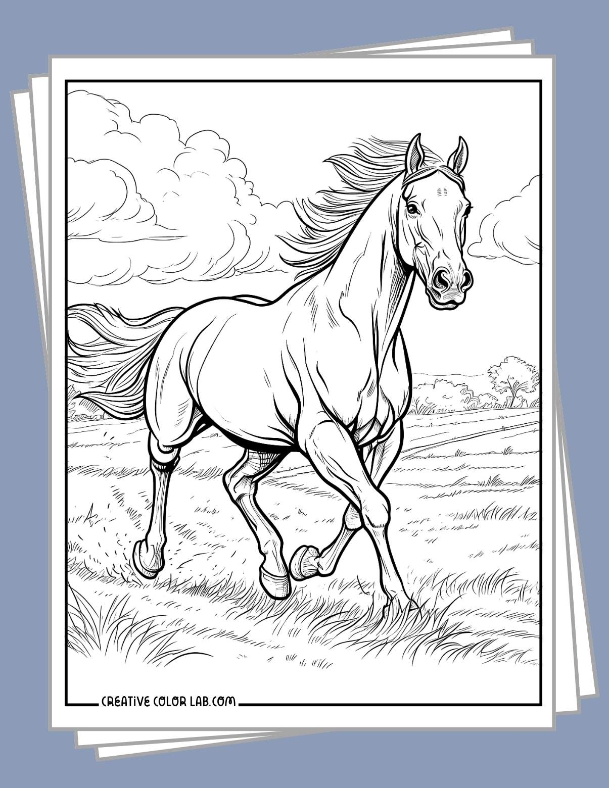 coloring pages of horses coloring pages of horses