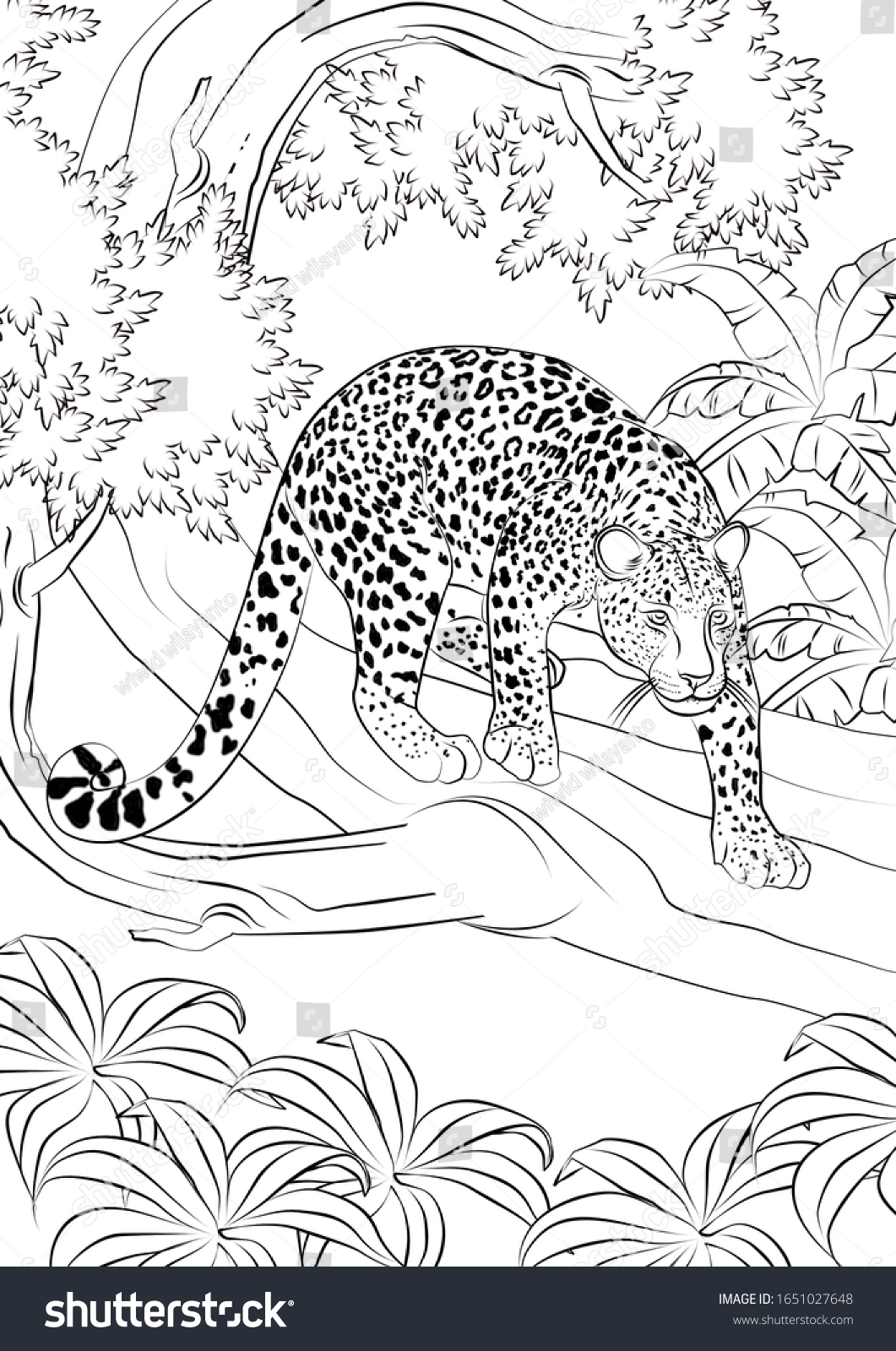 realistic animal coloring pages