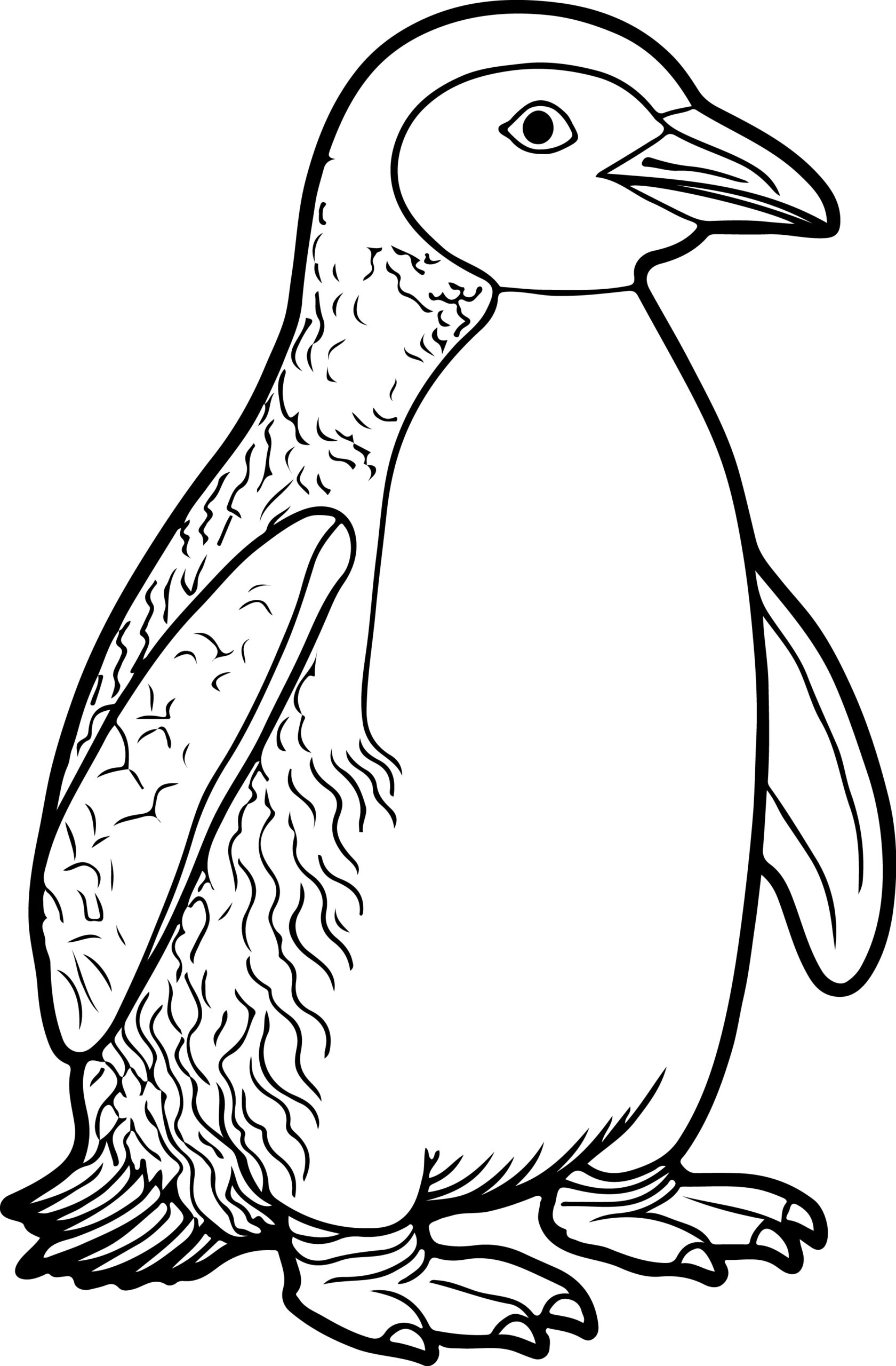 coloring pages of a penguin coloring pages of a penguin