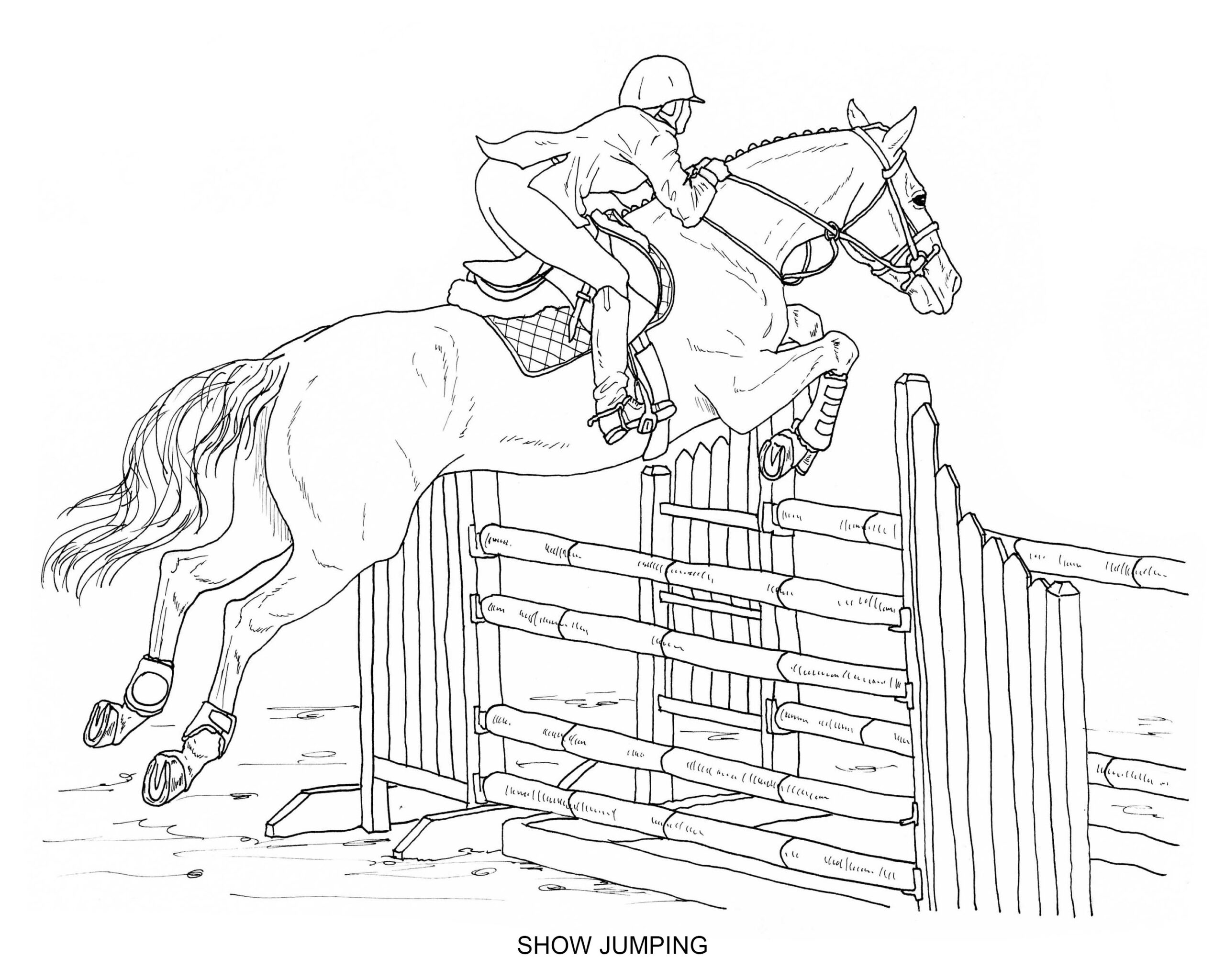 PRINTABLE Set Of 8 English Riding Coloring Pages Digital Download Etsy