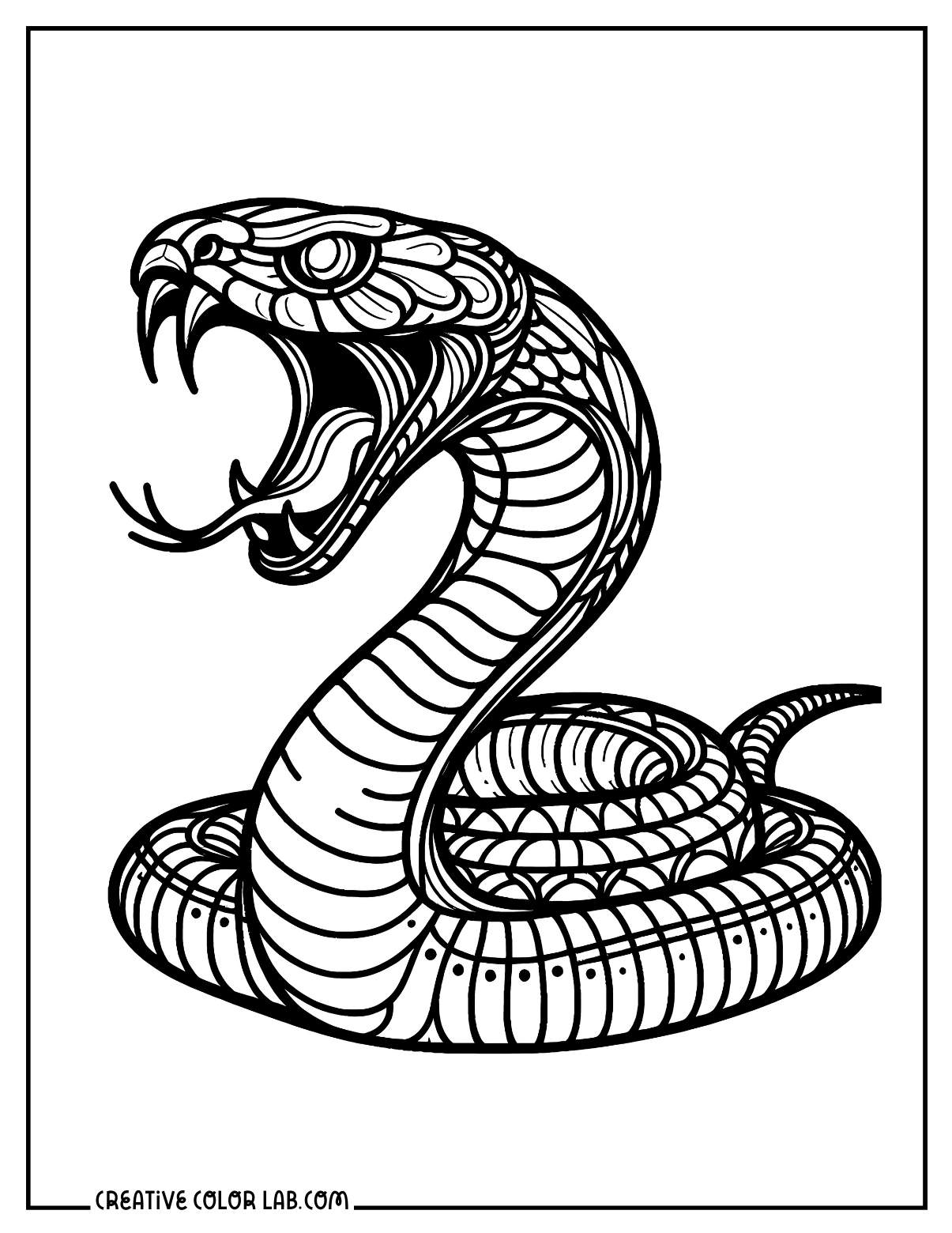 snake pictures to color