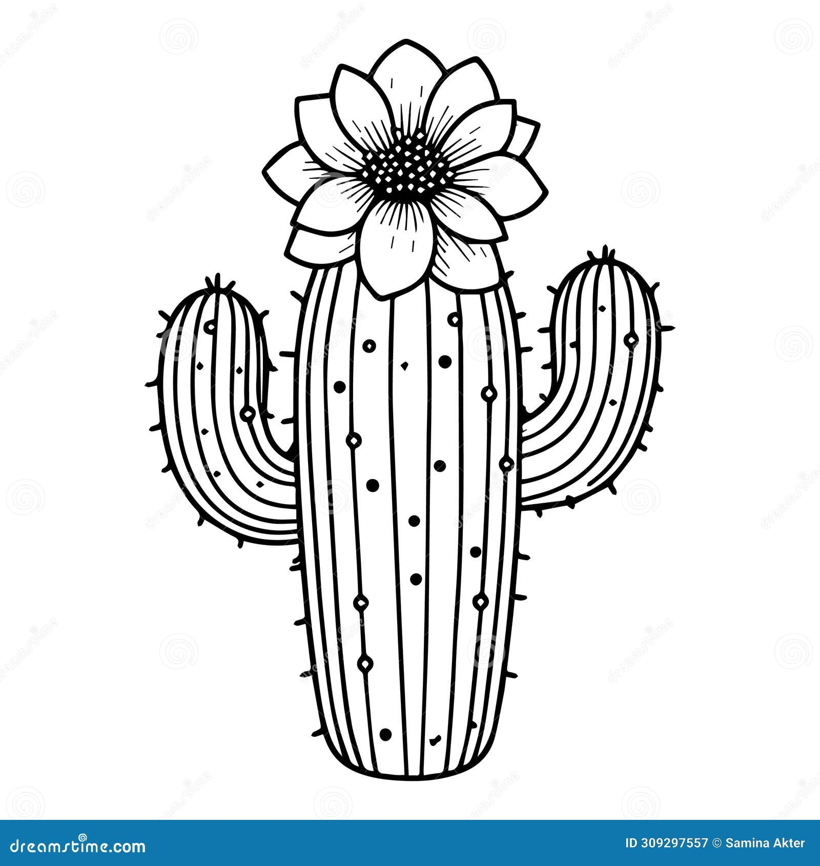 Realistic Cactus Coloring Page Flower And Cactus Line Drawings Free Prrintable Cactus Coloring Pages Stock Vector Illustration Of Decoration Leaf 309297557 Realistic Cactus Coloring Page Flower And Cactus Line Drawings Free Prrintable Cactus Coloring Pages Stock Vector Illustration Of Decoration Leaf 309297557