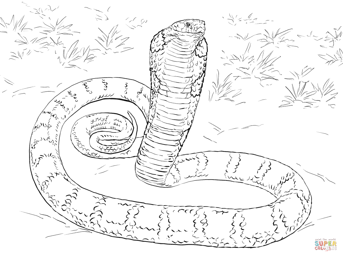 Realistic King Cobra Coloring Page Free Printable