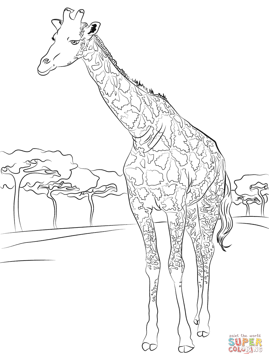 Supercoloring 100 000 Free Printables Coloring Pages Worksheets Crafts More