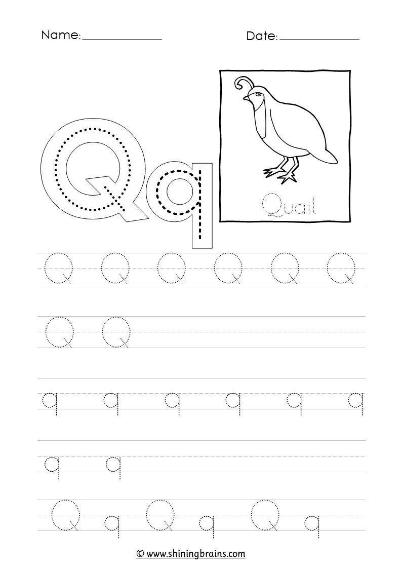 worksheets for the letter q