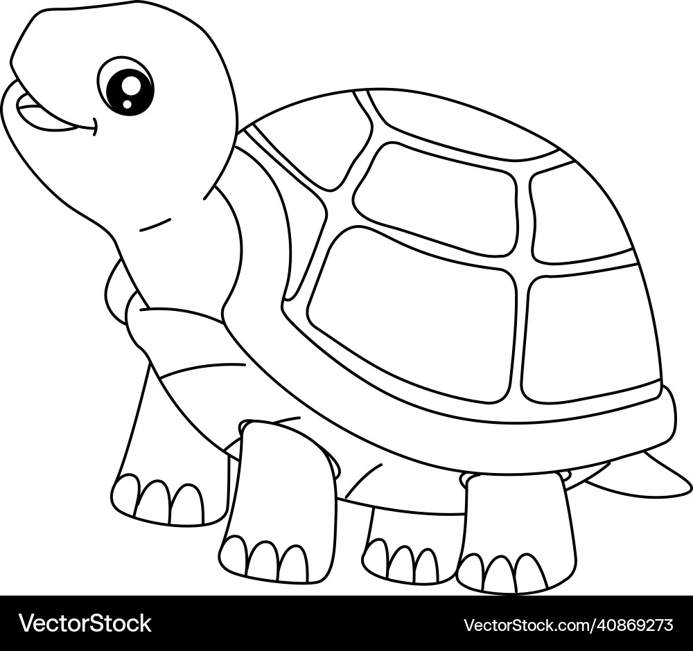 Turtle Coloring Page For Isolated Kids Royalty Free Vector VectorStock