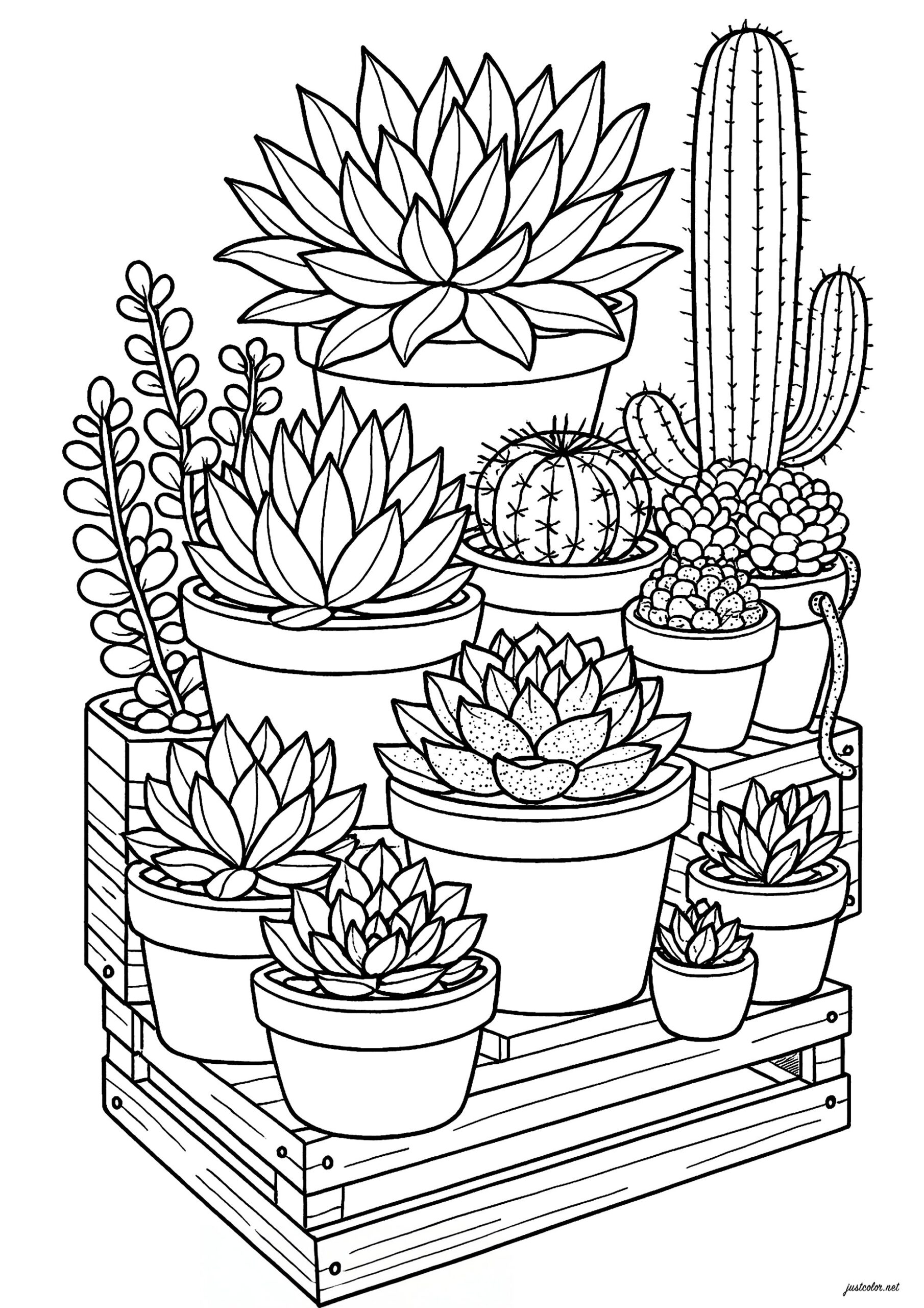 coloring pages of cactus coloring pages of cactus