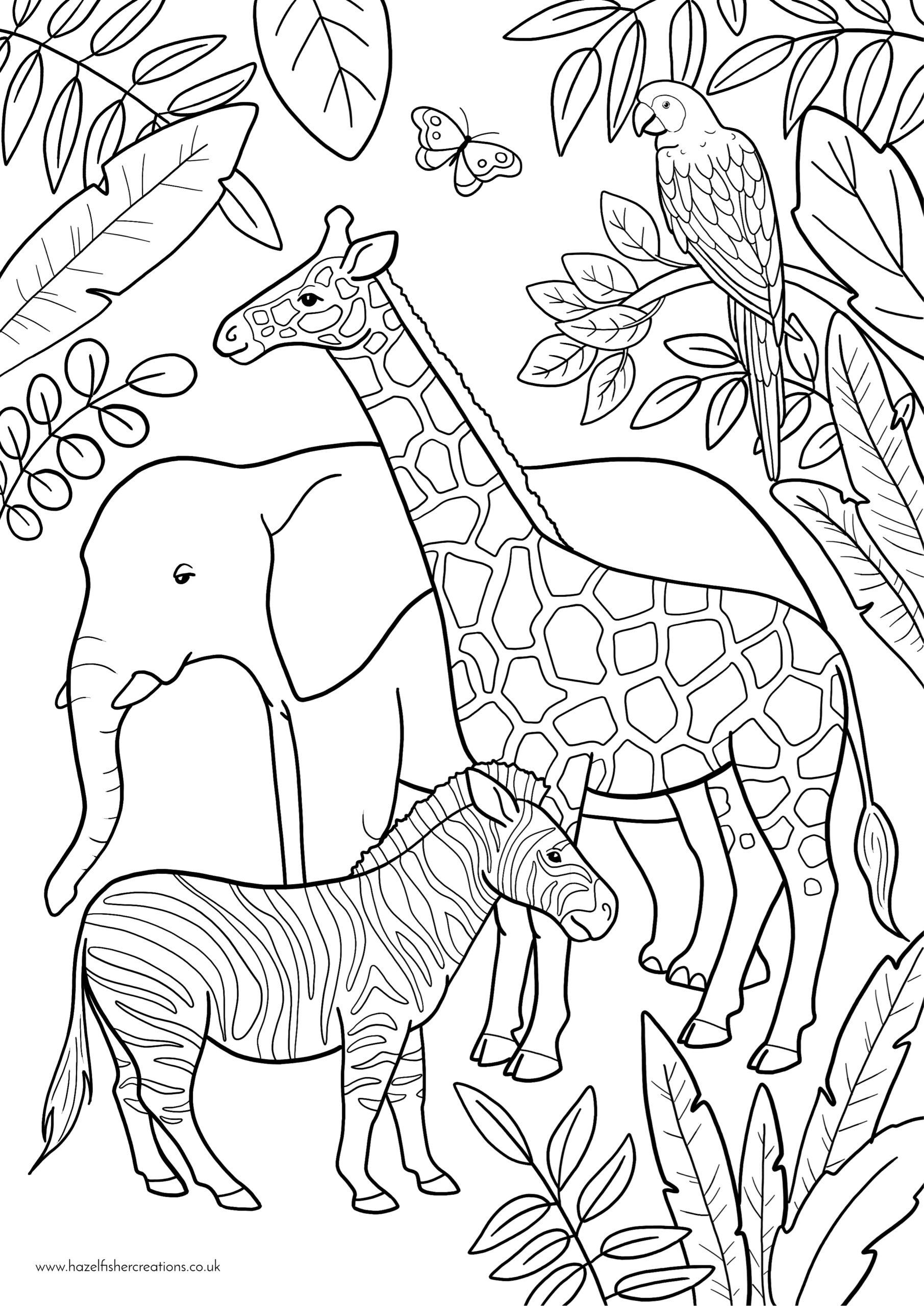 coloring pages of zoo coloring pages of zoo